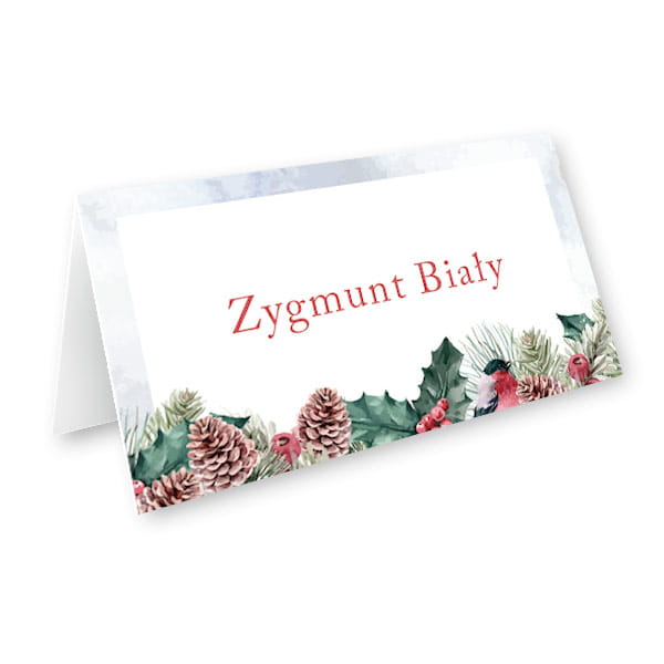 Kwiecista łąka - Zimowy klimat - widok z przodu i z tyłu